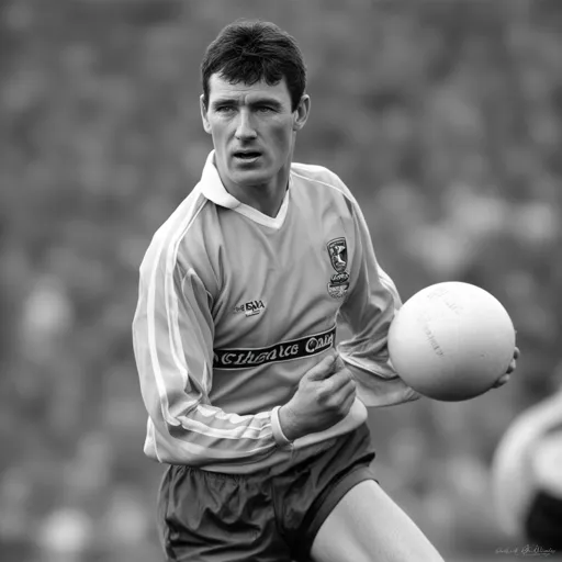 Paudie O'Donoghue